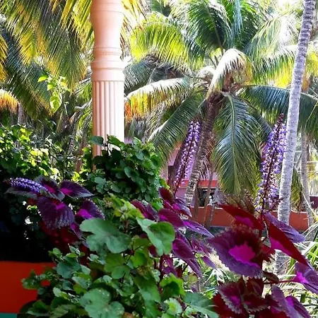 Thriphala Ayurveda Yogashram Apartment Thiruvananthapuram Exterior photo