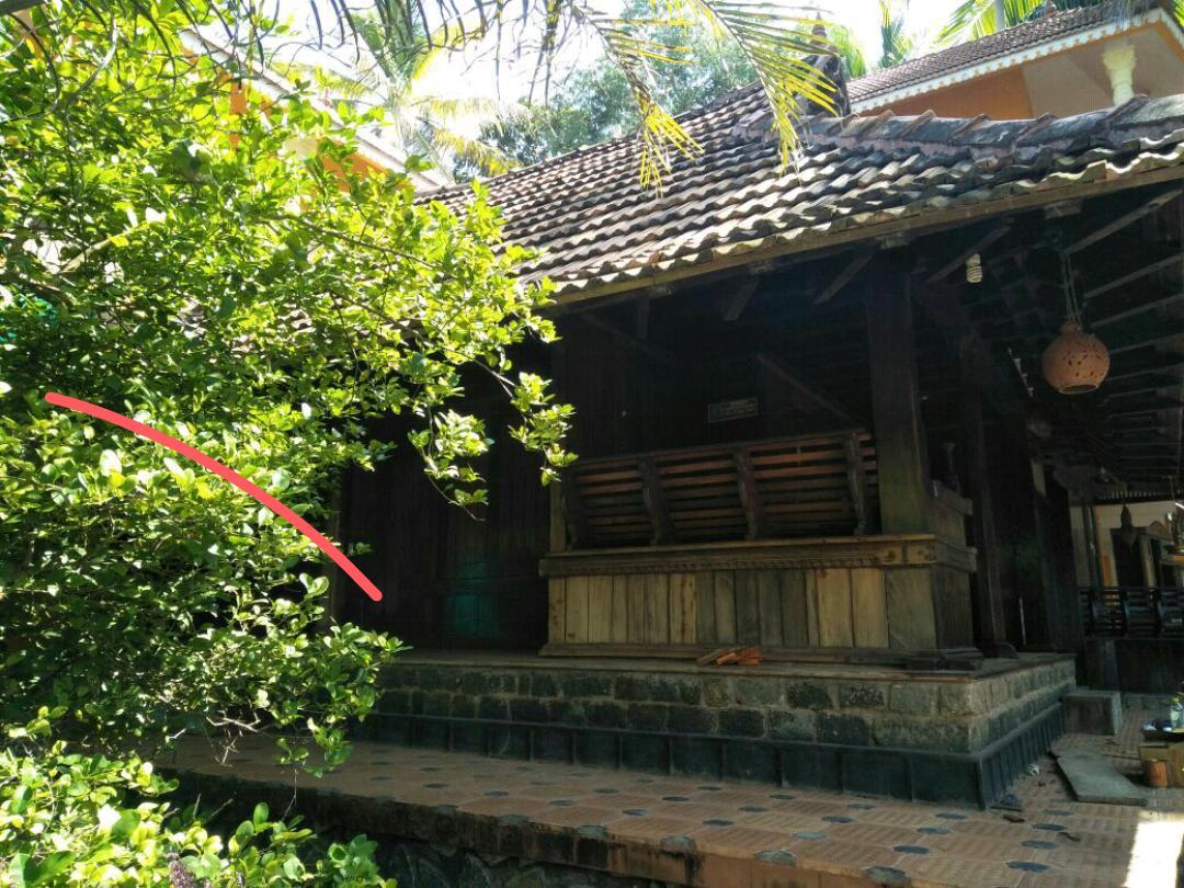 Homestay Thriphala Ayurveda Yogashram *