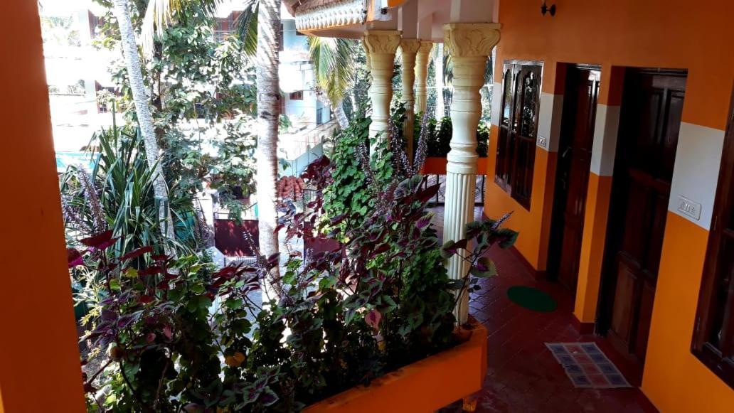Homestay Thriphala Ayurveda Yogashram Thiruvananthapuram