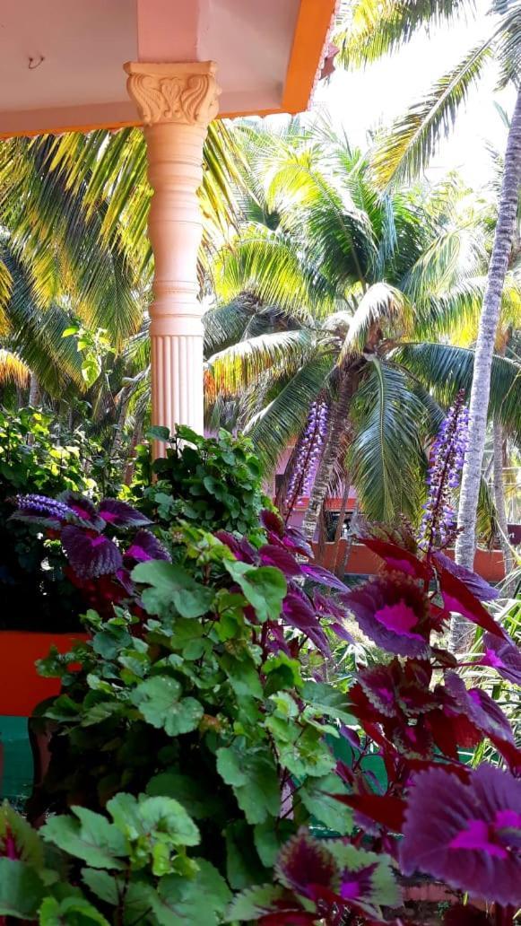 Thriphala Ayurveda Yogashram Homestay Thiruvananthapuram